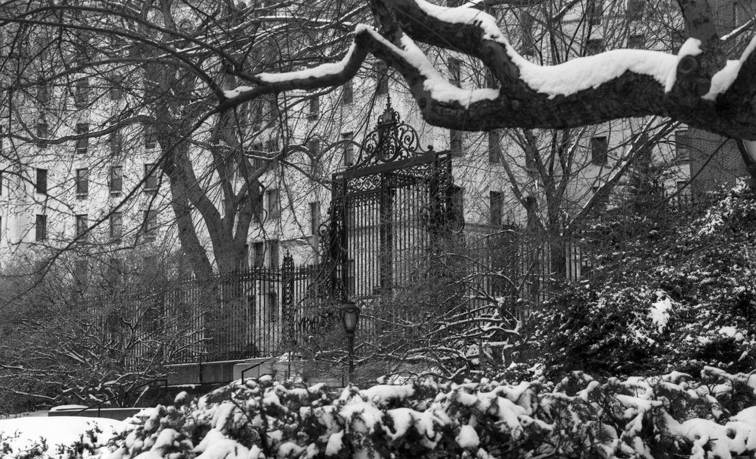 winter in central park in the 1980s